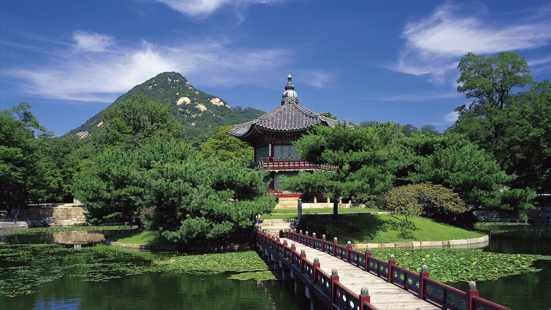 世界体操单项赛全国青训营导师名单公布，世界体操单项赛全国青训营导师名单公布了吗